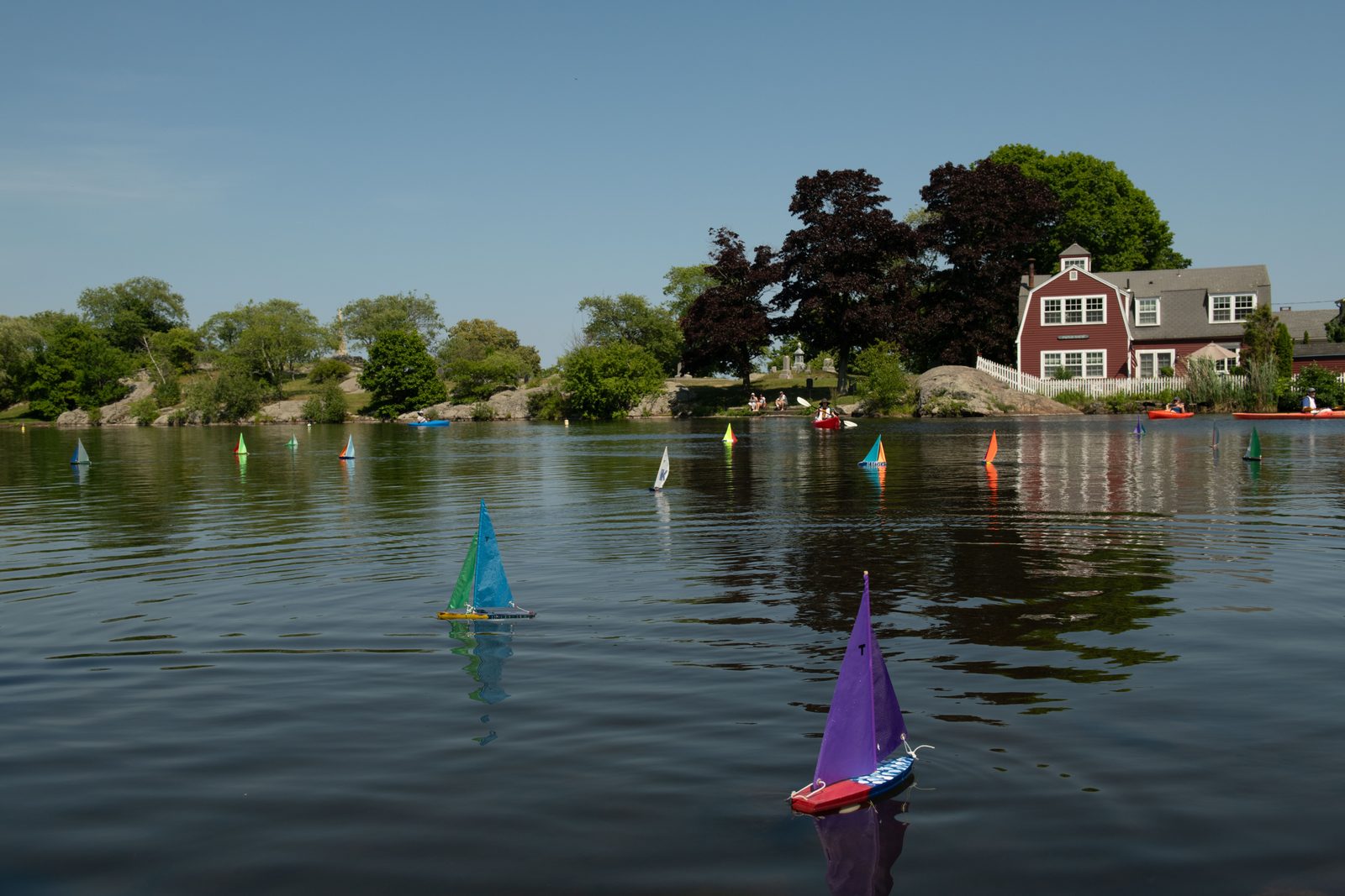 Bright sails gather at the middle of the pond, doubled in the still water.