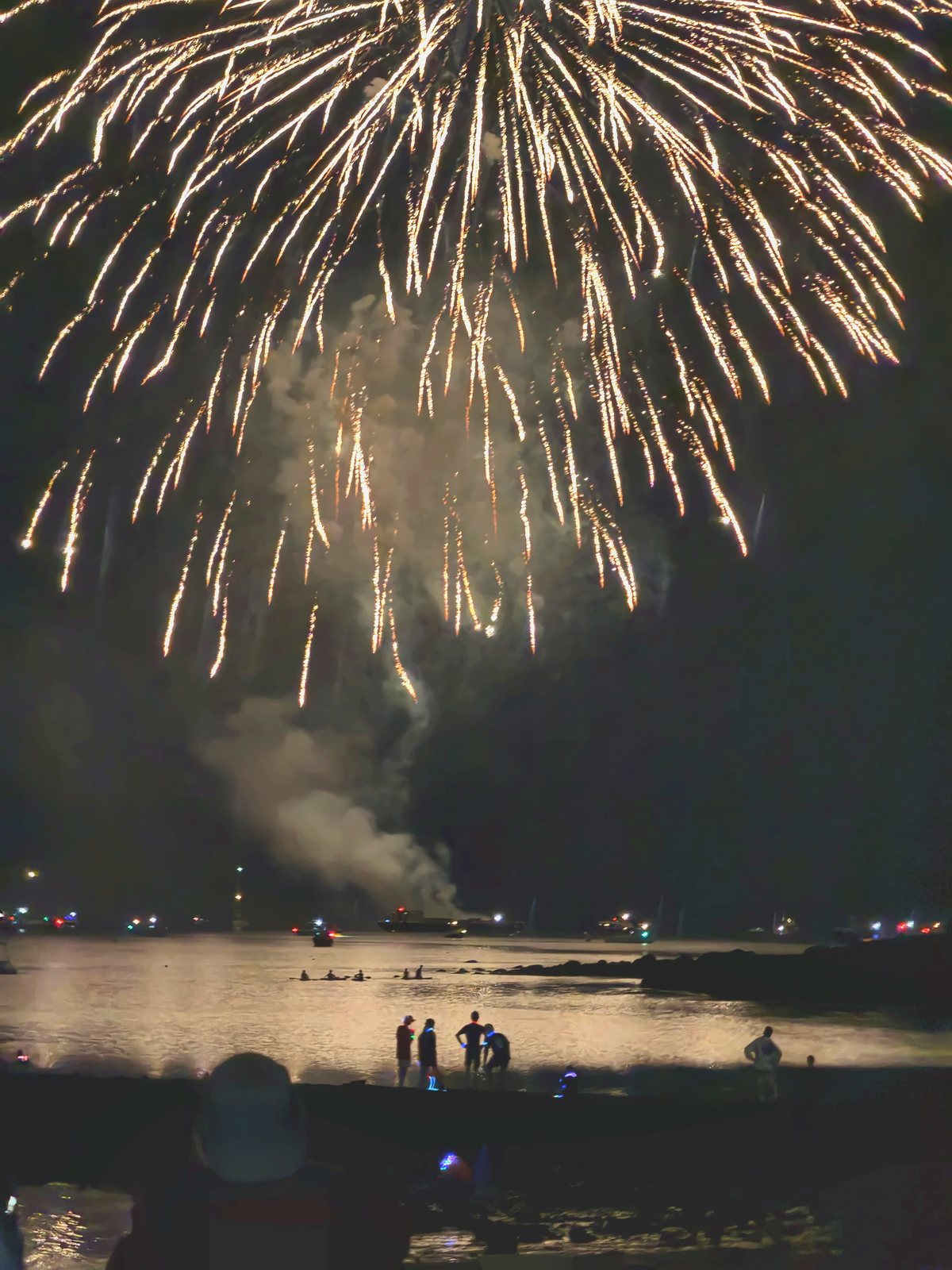 A golden willow rains down over the harbor, its strands doubled in the water as onlookers watch from the tidal flat.